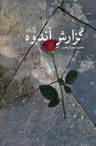 معرفی کتاب نقد کتاب خرید کتاب دانلود کتاب زندگی نامه بیوگرافی گزارش اندوه