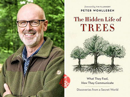 «زندگی رازآمیز درختان» [Das geheime Leben der Bäume اثر پتر ووُل‌لِبِن Peter Wohlleben]
