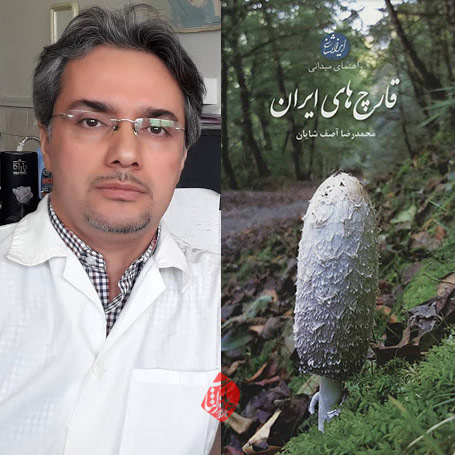 راهنمای میدانی قارچ‌های ایران محمدرضا آصف شایان