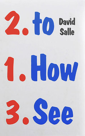  جلد برگزیده 2106 How to See by David Salle