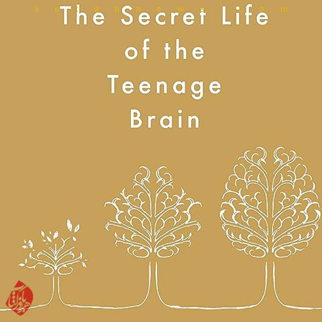ابداع خود، زندگی راز‌آمیز مغز نوجوان» [Inventing Ourselves: The Secret Life of the Teenage Brain]