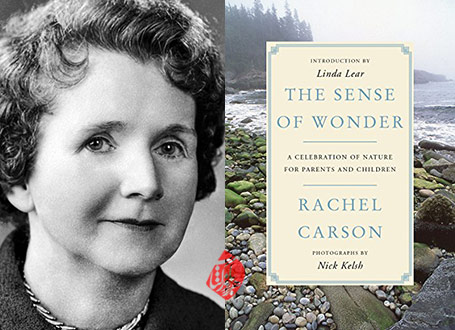 راشل کارسون [Rachel Carson]خلاصه کتاب حس شگفتی» [The sense of wonder]