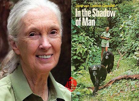 در سایه انسان» [In the shadow of man] نوشته جین گودال [Jane Goodall]