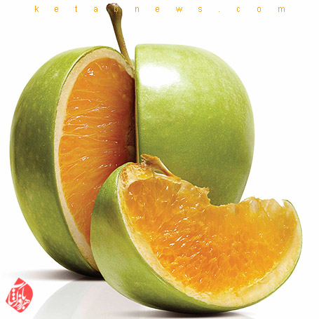 Freakonomics