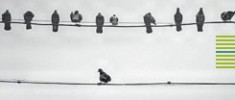 نگاهی-به-فلسفه-تنهایی-اسونسن-محمد-صادقی